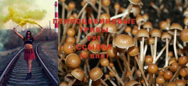 метадон Дмитровск