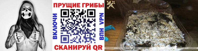 Купить закладки  Истра  Галлюциногенные грибы Psilocybe 